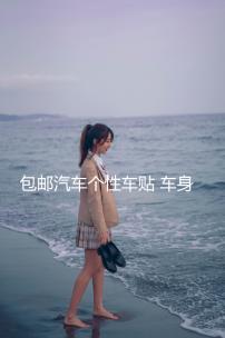 包郵汽車個(gè)性車貼 車身貼 搞笑全車貼彩色車貼豹子劃痕貼拉花貼紙