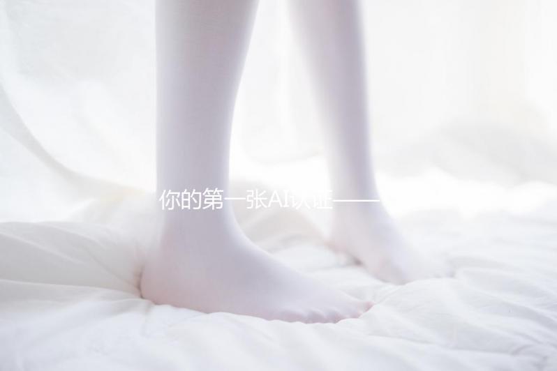 你的第一張AI認(rèn)證——亞馬遜云科技正式推出「AI 從業(yè)者認(rèn)證」