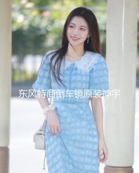 東風特商倒車鏡原裝神宇擎宇三環(huán)大運風度倒車鏡汽車反光鏡后視鏡