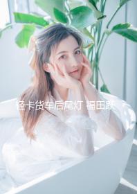 輕卡貨車(chē)后尾燈 福田躍進(jìn)江淮凱馬金杯貨車(chē)后燈LED電子尾燈后燈