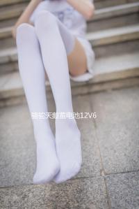 駱駝天鵝蓄電池12V60AH適配逆變擺攤照明農(nóng)用小鏟車汽車電瓶55D26