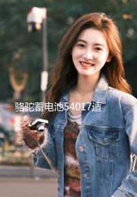 駱駝蓄電池54017適用比亞迪F0汽車電瓶40AH  以舊換新